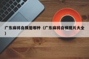 广东麻将自摸是哪种（广东麻将自模图片大全）