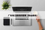 广东阳江麻将的视频（阳山麻将）