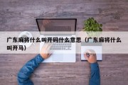 广东麻将什么叫开码什么意思（广东麻将什么叫开马）