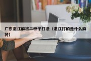 广东湛江麻将二种子打法（湛江打的是什么麻将）