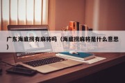 广东海底捞有麻将吗（海底捞麻将是什么意思）