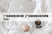 广东麻将抓8张马牌（广东麻将抓8张马牌是什么）