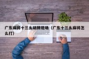 广东麻将十三幺胡牌现场（广东十三幺麻将怎么打）