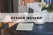 张芝书法欣赏(张芝书法真迹) 张芝书法欣赏(张芝书法真迹)