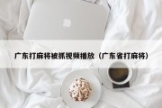 广东打麻将被抓视频播放（广东省打麻将）