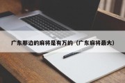 广东那边的麻将是有万的（广东麻将最大）