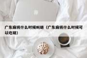 广东麻将什么时候叫胡（广东麻将什么时候可以吃胡）