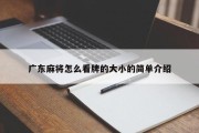 广东麻将怎么看牌的大小的简单介绍