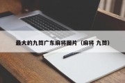 最大的九筒广东麻将图片（麻将 九筒）