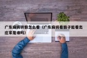 广东麻将转骰怎么看（广东麻将看骰子能看出庄家是谁吗）