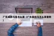广东麻将马是怎么算（广东麻将马怎么算番数）