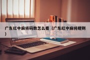 广东红中麻将码数怎么看（广东红中麻将规则）