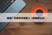 猫猫广东麻将在哪里人（猫猫牌玩法）
