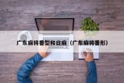 广东麻将番型和日麻（广东麻将番形）