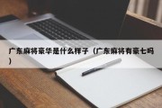 广东麻将豪华是什么样子（广东麻将有豪七吗）