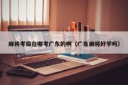 麻将考级在哪考广东的啊（广东麻将好学吗）